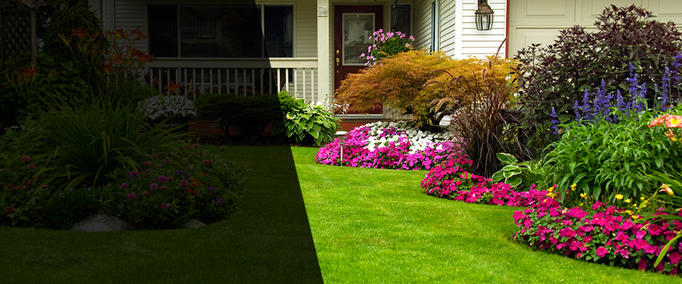 Rye Landscapers