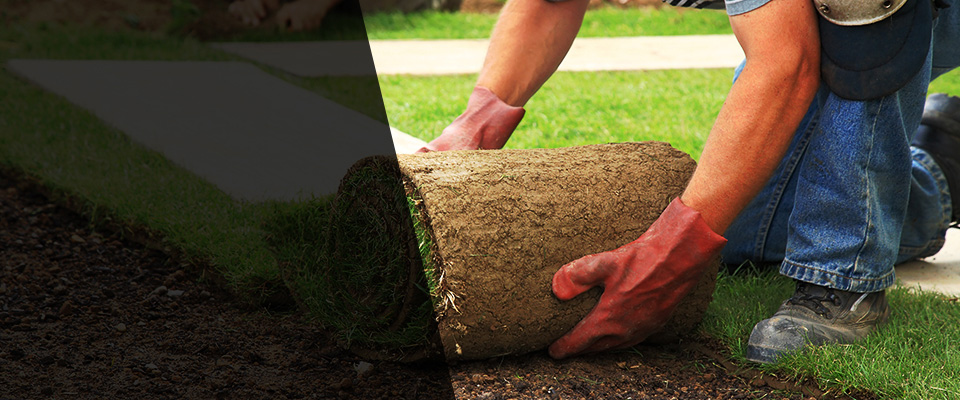 Rye Landscapers